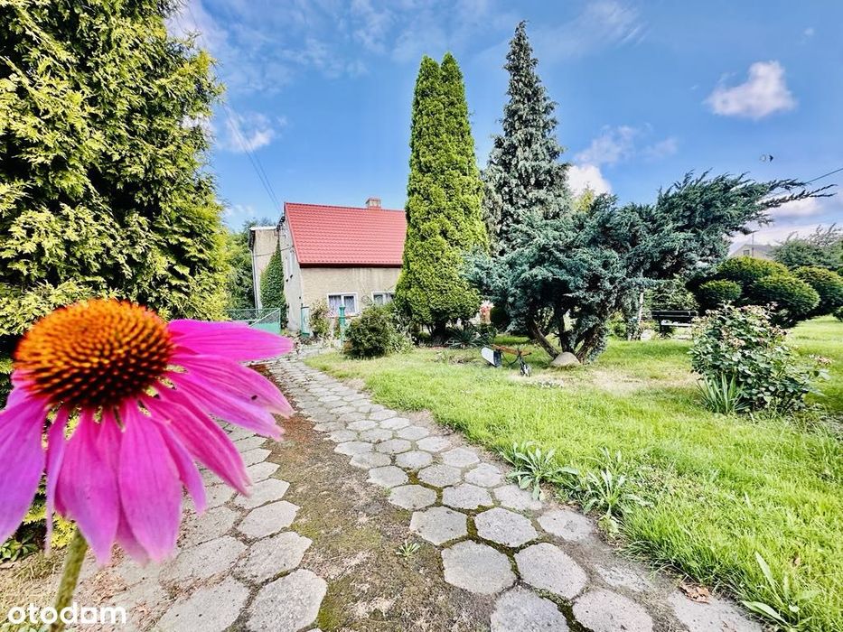 DOM, który ma swoją historie i czeka na nowego właściciela