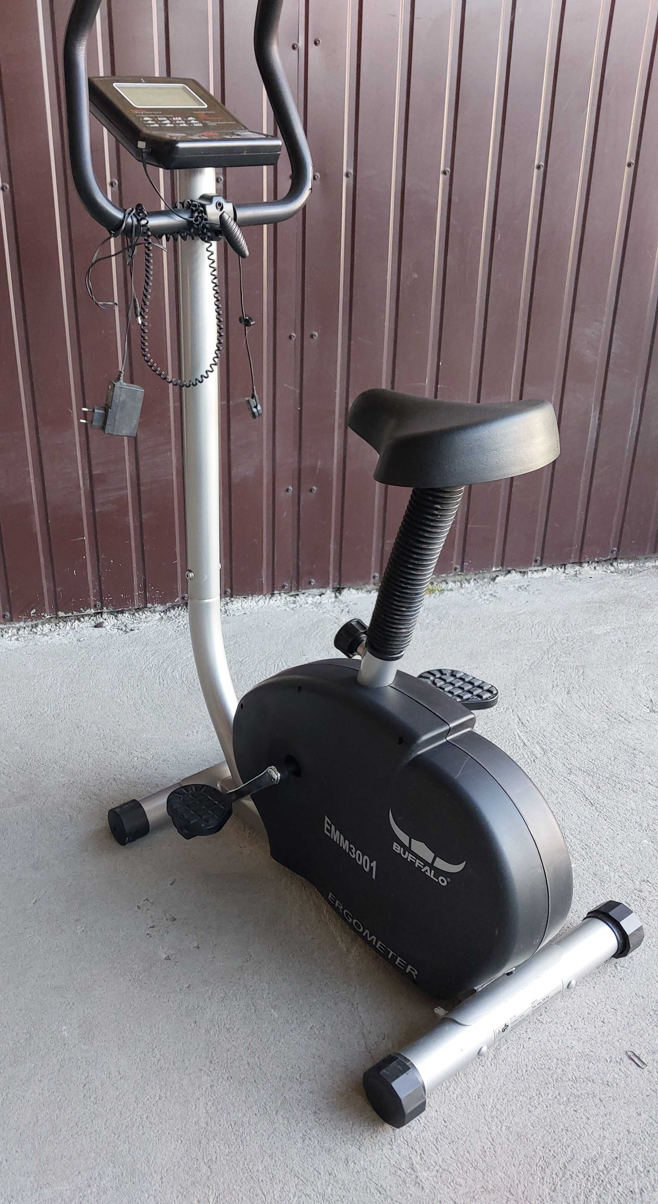 rower treningowy  STACJONARNY BUFFALO EMM 3001 / 216