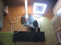 MIX Elektroniki jak foto
