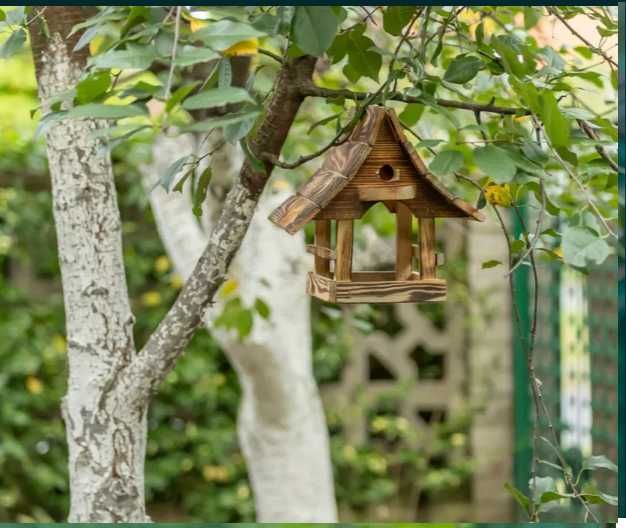 Karmnik ogrodowy z drewna – solidny, naturalny