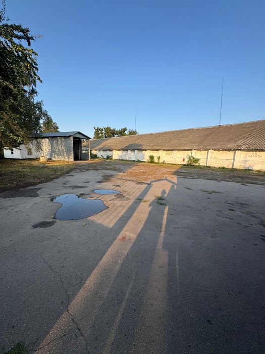 Продаж елеватора підлогового зберігання на 48 000 тонн, Полтавська обл