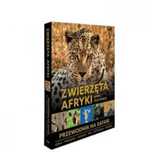 Zwierzęta Afryki - przewodnik na Safari w.2025