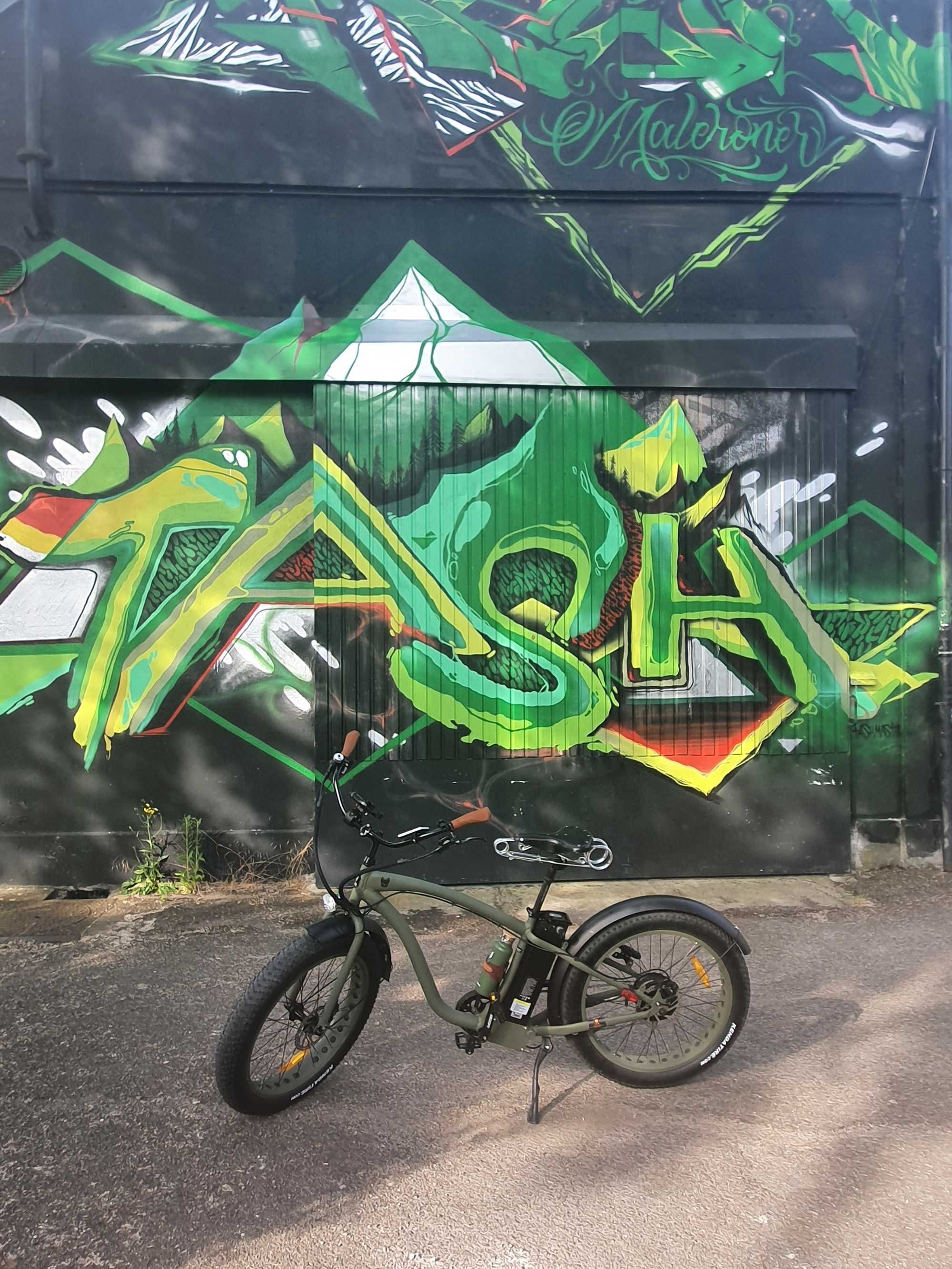 Beach cruiser fat bike