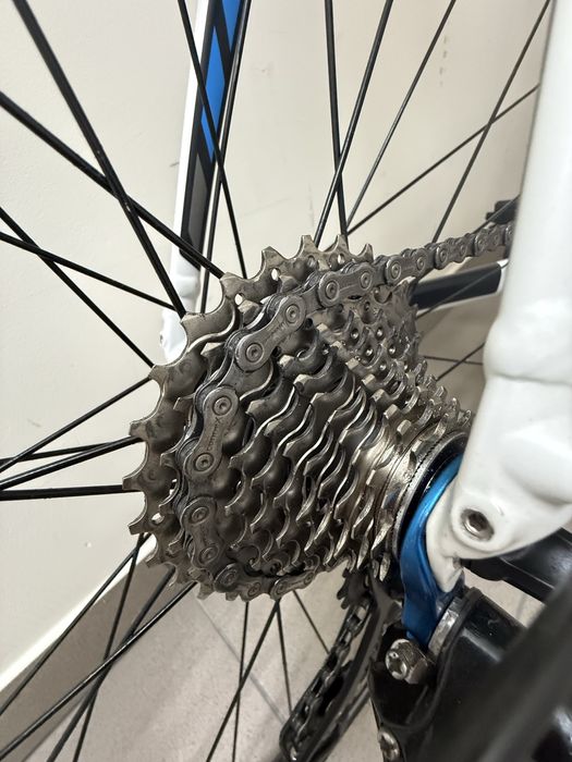 Rower szosowy Trek Domane 2.3