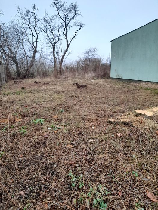 Cięcie drzew z podnośnika, żywopłotu, tui, wywóz gałęzi ,wertykulacja