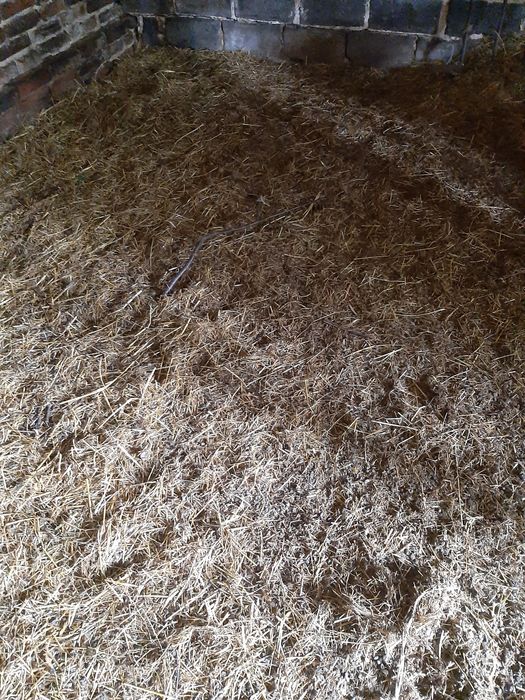 Obornik naturalny owczy