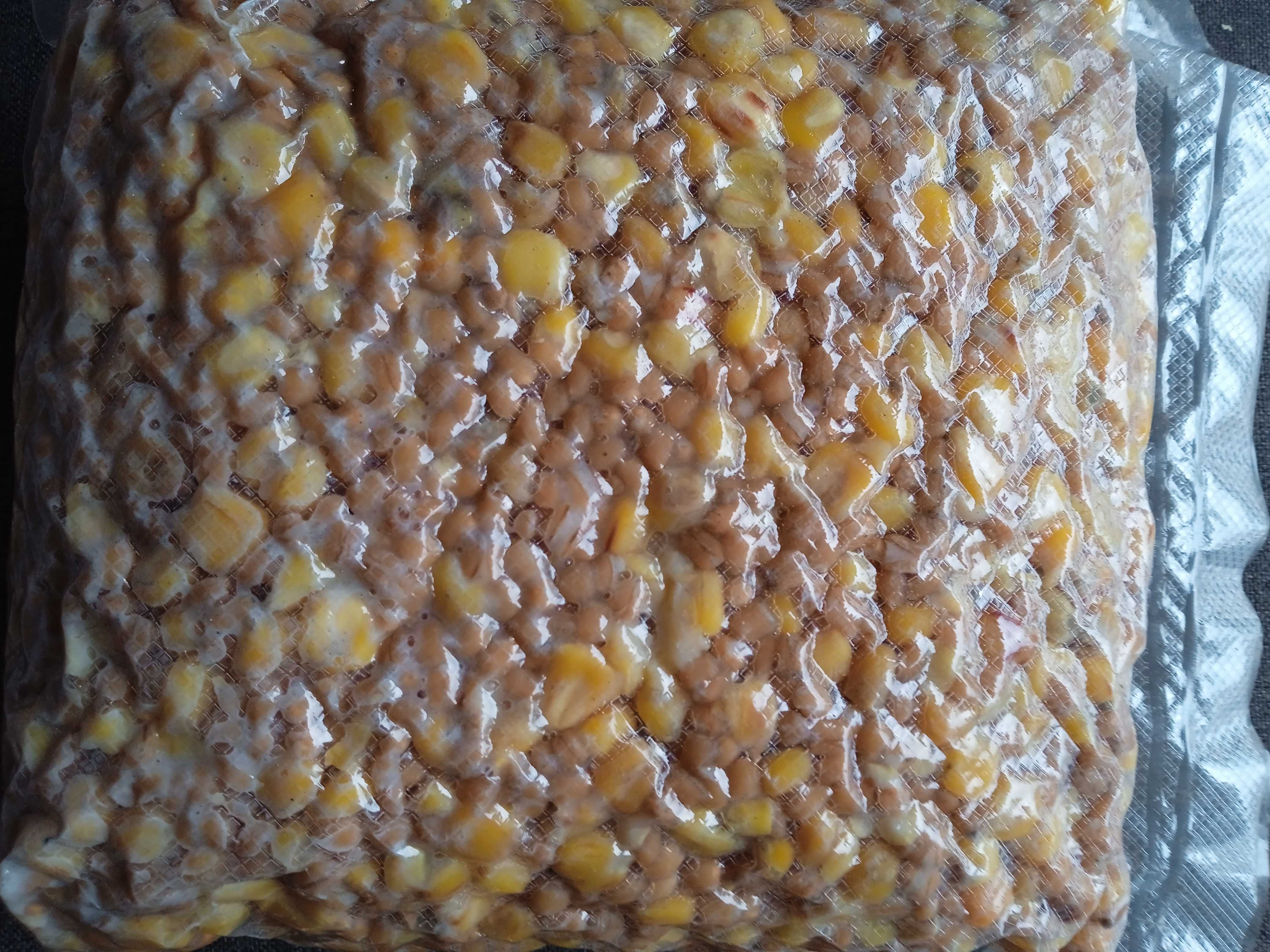 Kukurydza,pszenica gotowana 5zł .
