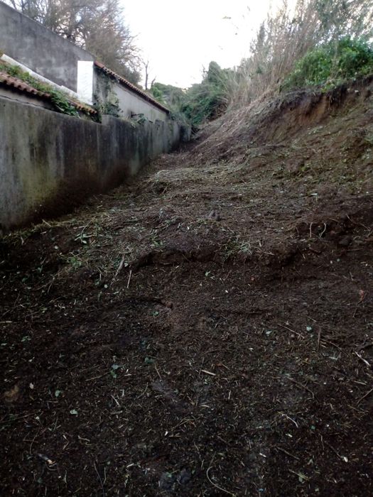 Limpeza de terrenos
