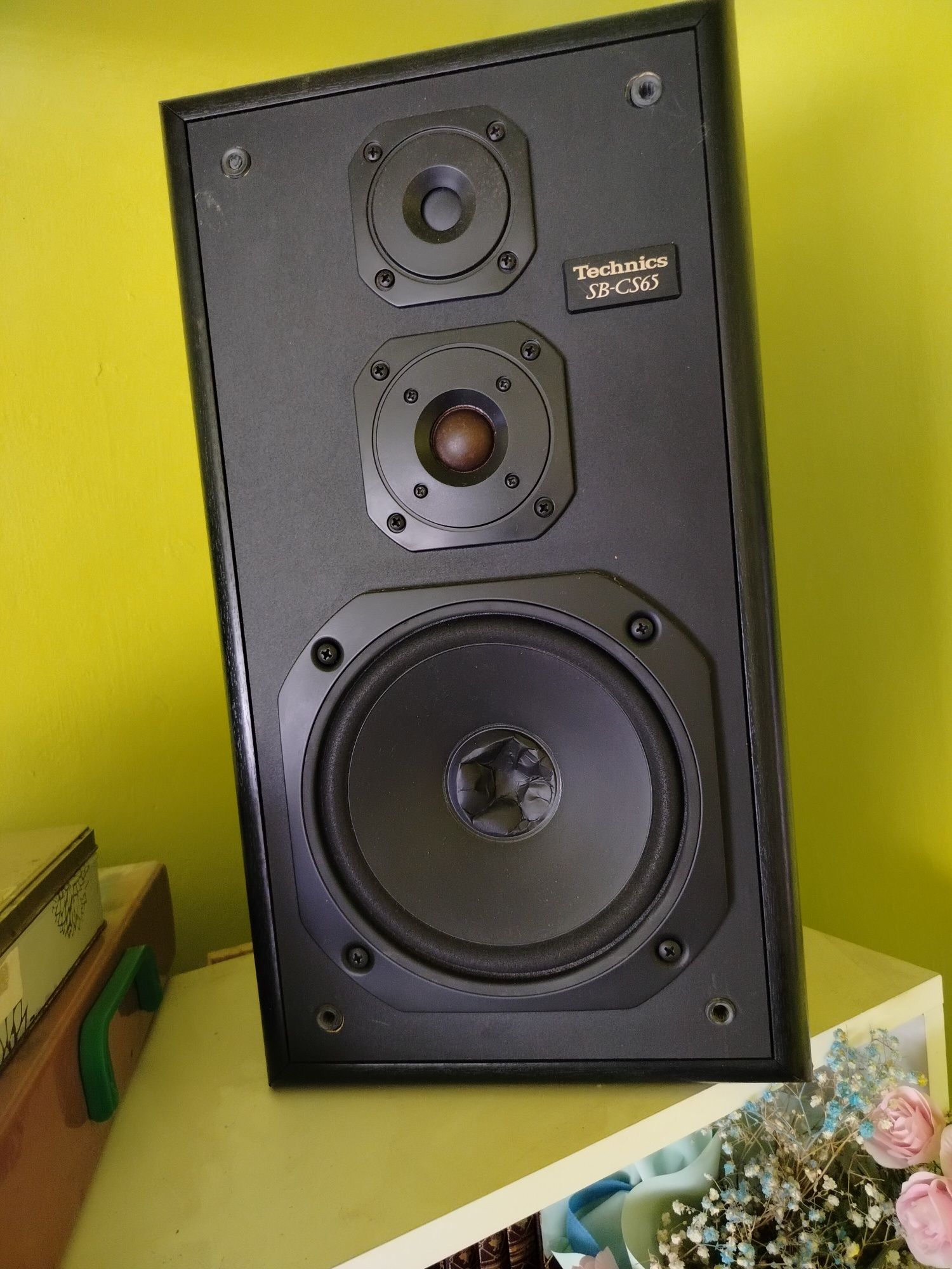 Sprzedam wieże Technics.