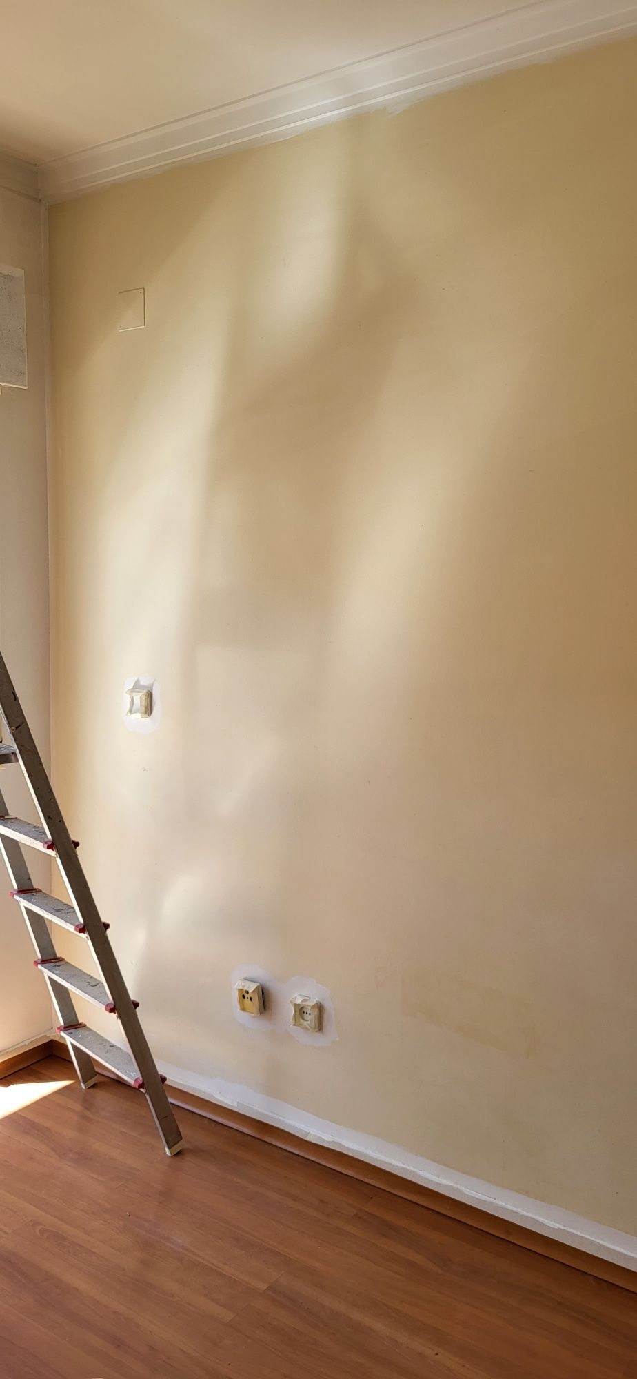 Faco pinturas interiores e exteriores.