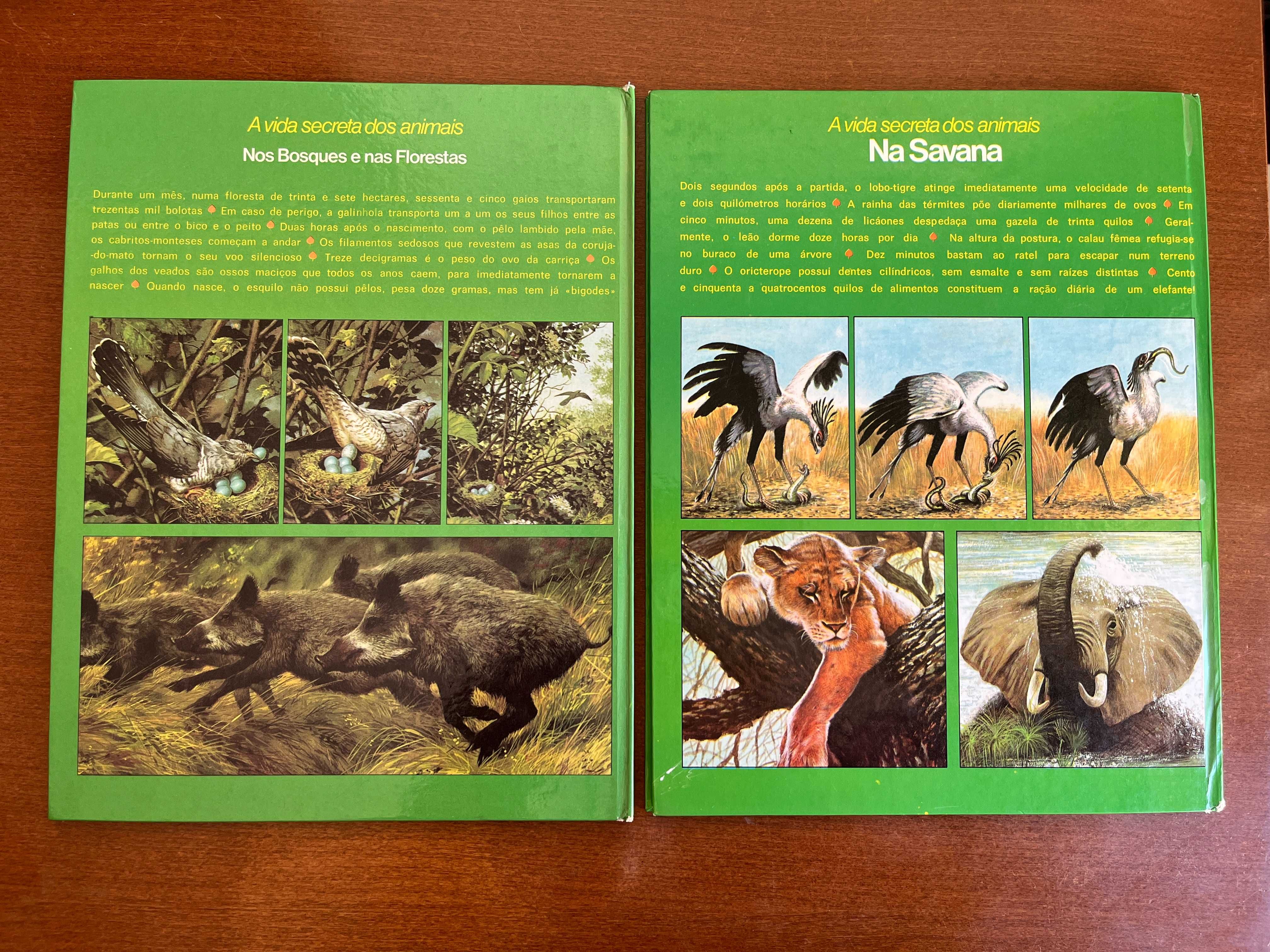 A Vida Secreta dos Animais: Na Savana e Nos Bosques e Floresta