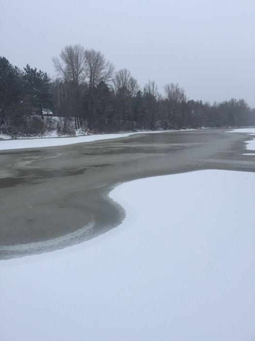 Участок 78 соток, обводной канал, Киевское море, сосновый лес