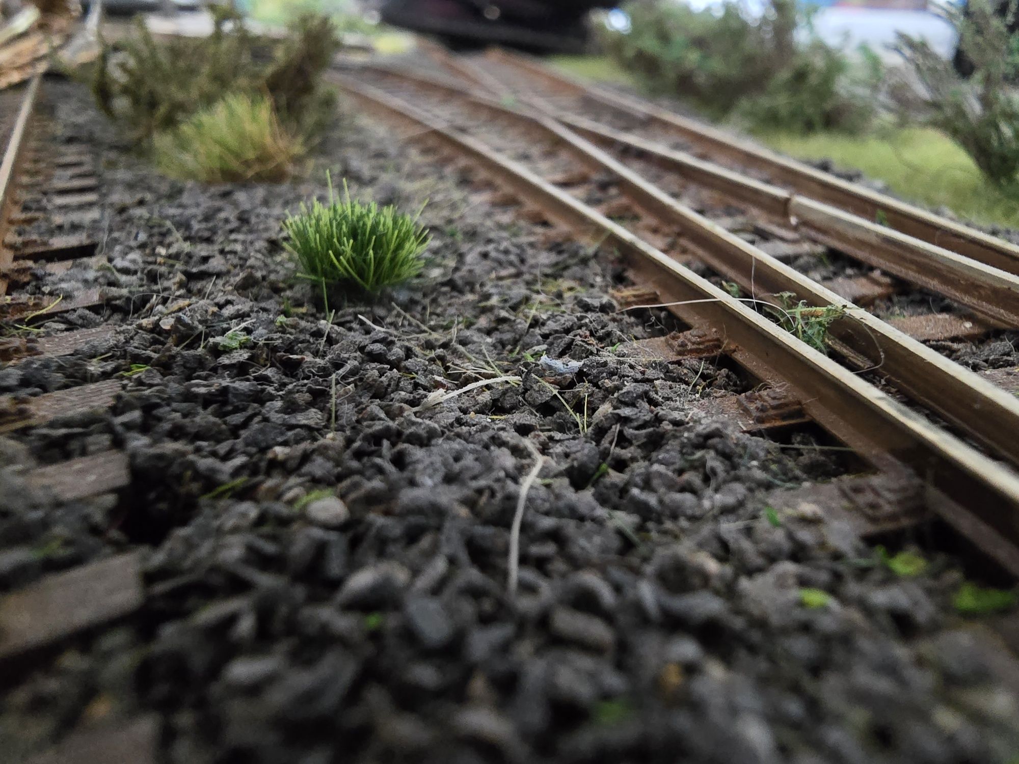 Krzaczki i trawa na makiete H0 / 1:87 /TT diorama