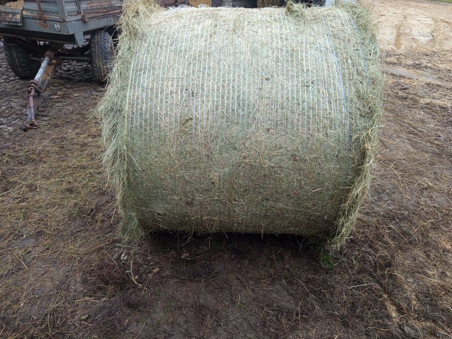 Sprzedam nadmiar siana