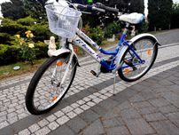 rower damka 24 cale