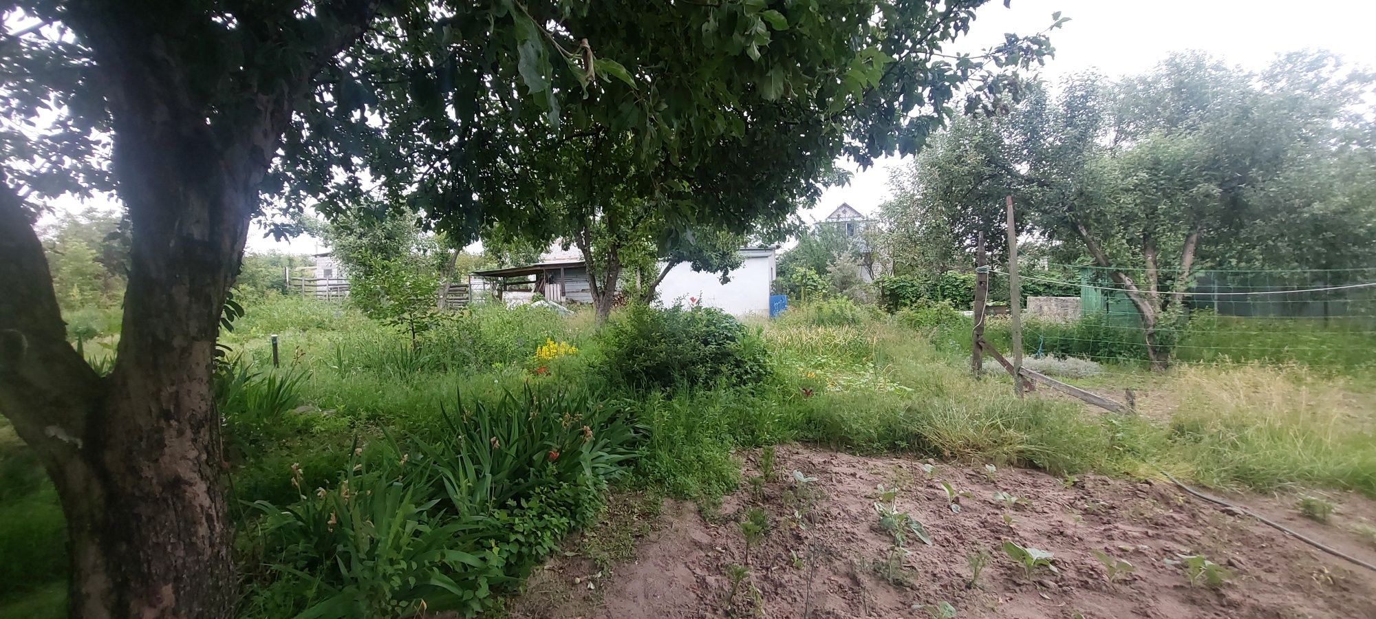 Продам дачный участок в Солоницевке