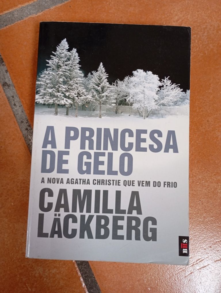 Livro A princesa de gelo