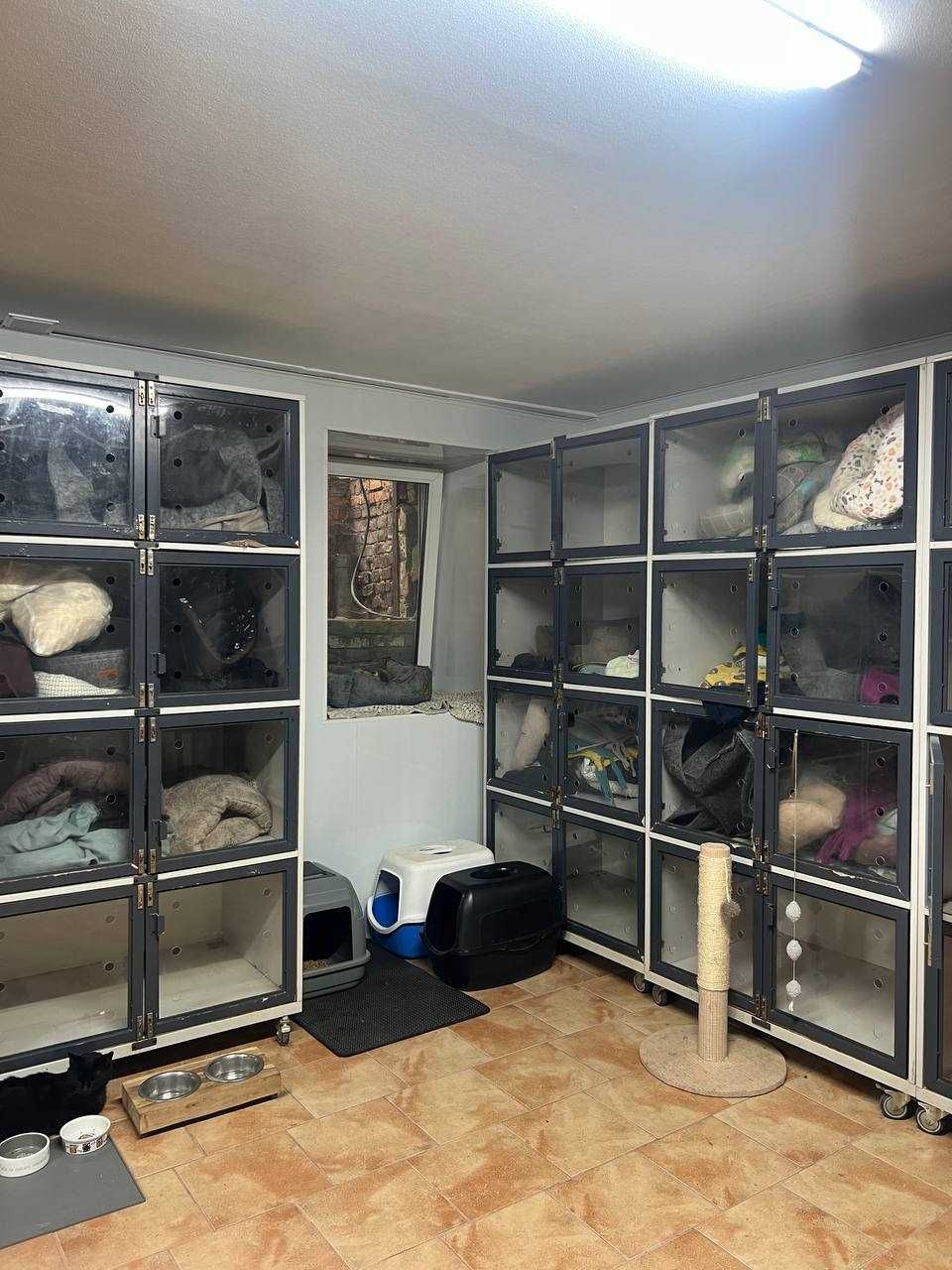 Перетримка для котів КОТОСТАНЦІЯ, м. Київ, 100грн\доба