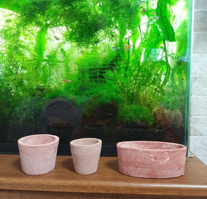 AQUAYER Добрива для акваріумних рослин та риб, трубки-укриття для риб