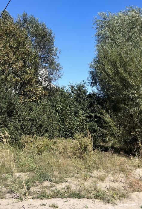 Продаж земельної ділянки в с. Сокільники, вул. Шептицького з проектом