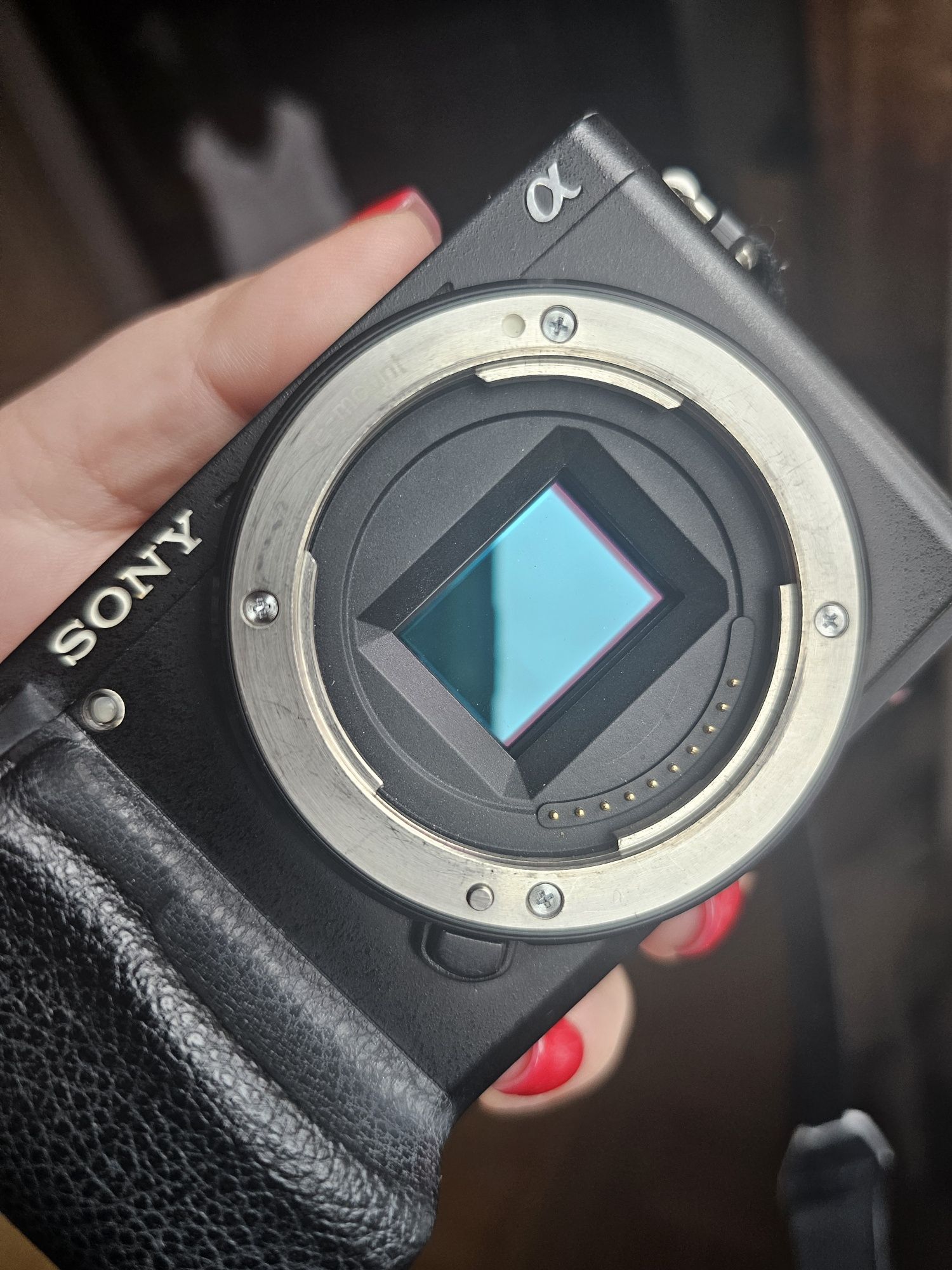 Sony 6300 + obiektyw 16-50 mm