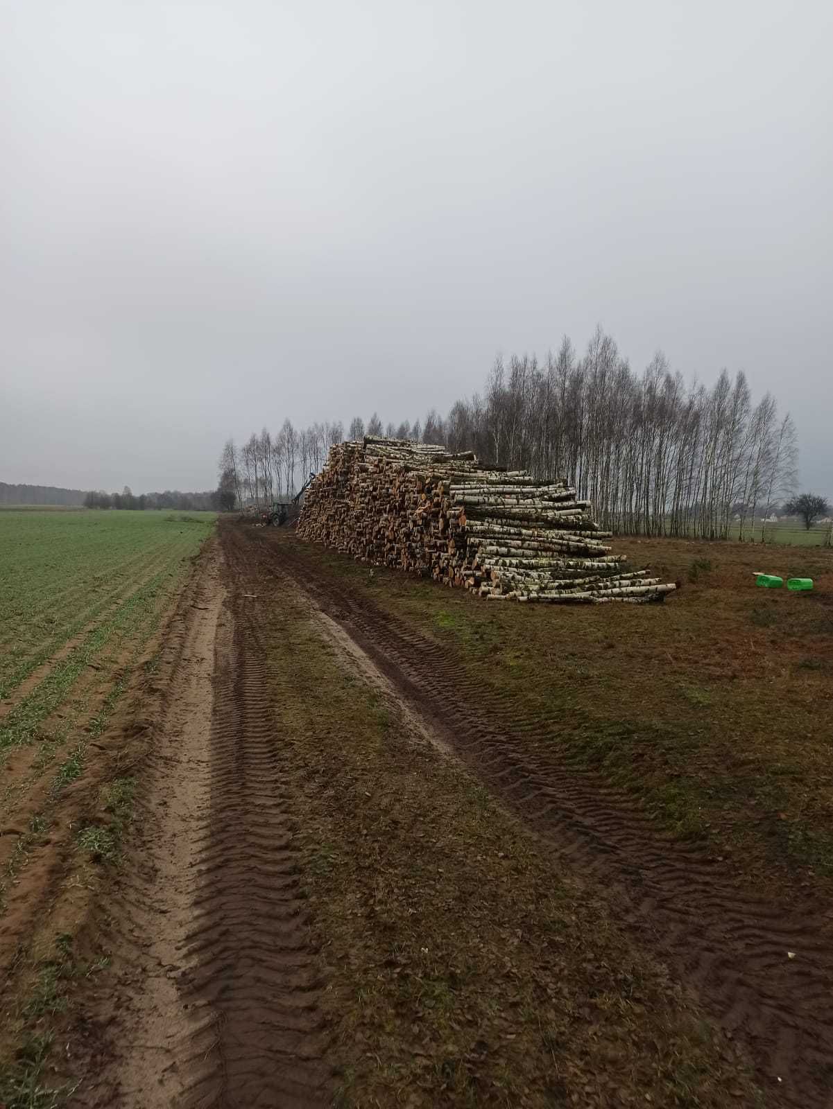 Drewno Kominkowe / Opałowe  Brzoza Dąb Olcha Akacja  HURT / DETAL