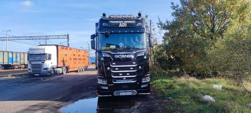SCANIA S580V8 AUTOMAT  Naczepa Pezzaioli 3pokłady do Żywca, Zwierząt