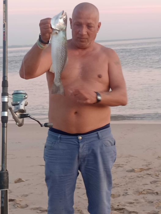 trabalhos gerais de acentamento de carpintaria