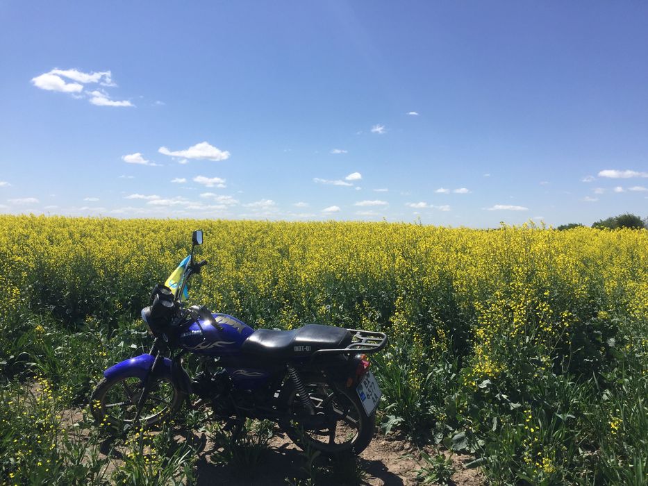 Mustang125 в хорошому стані