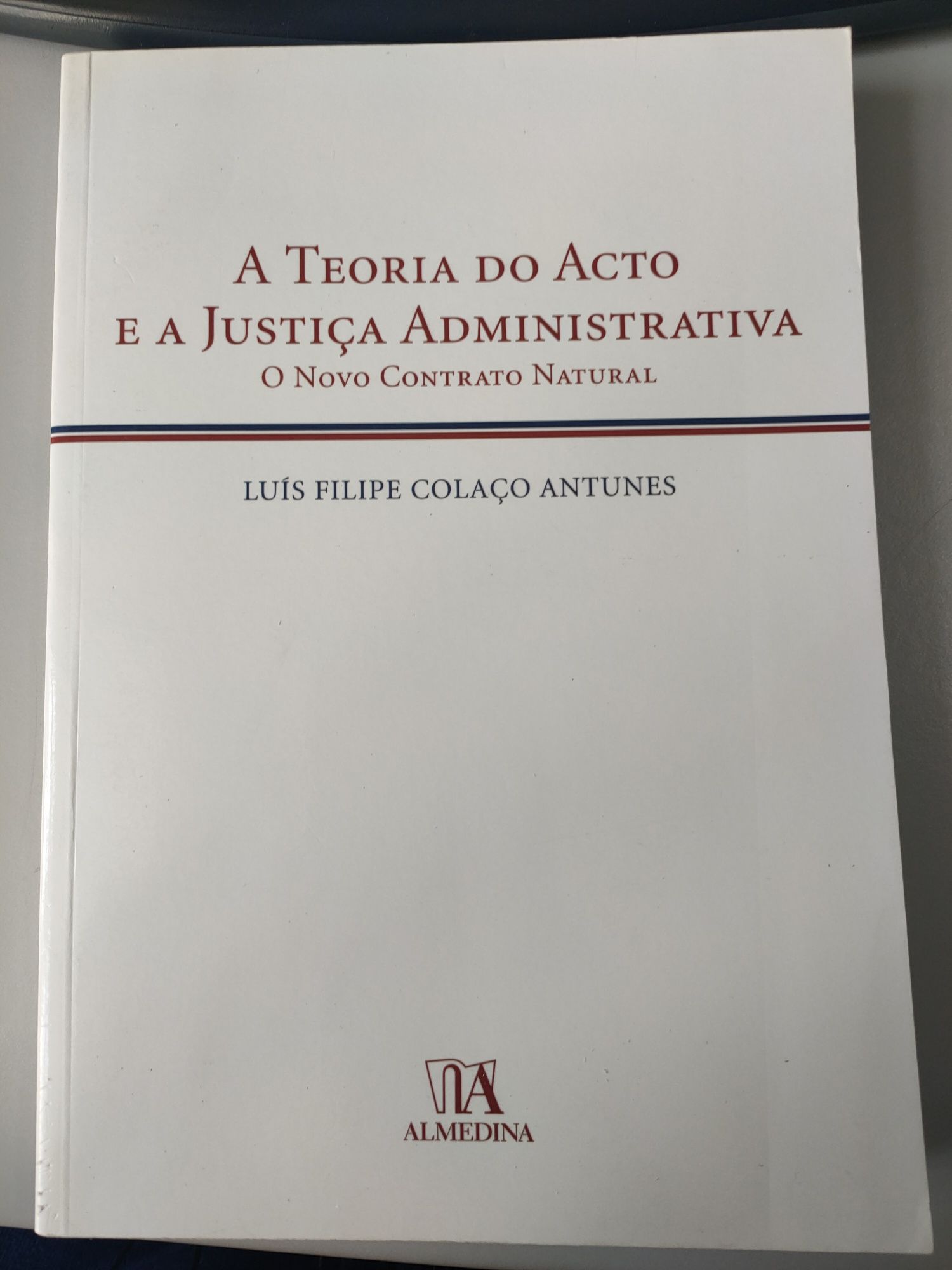 A teoria do ato e a justiça administrativa