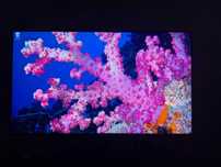 Игровой монитор LG GR95UM (27'', 4K, 144Hz, Nano-IPS miniLED, HDR1000)