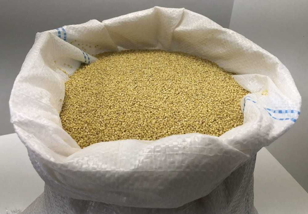 KASZA Jaglana Staropolska Warmia bez glifosatu 5 KG