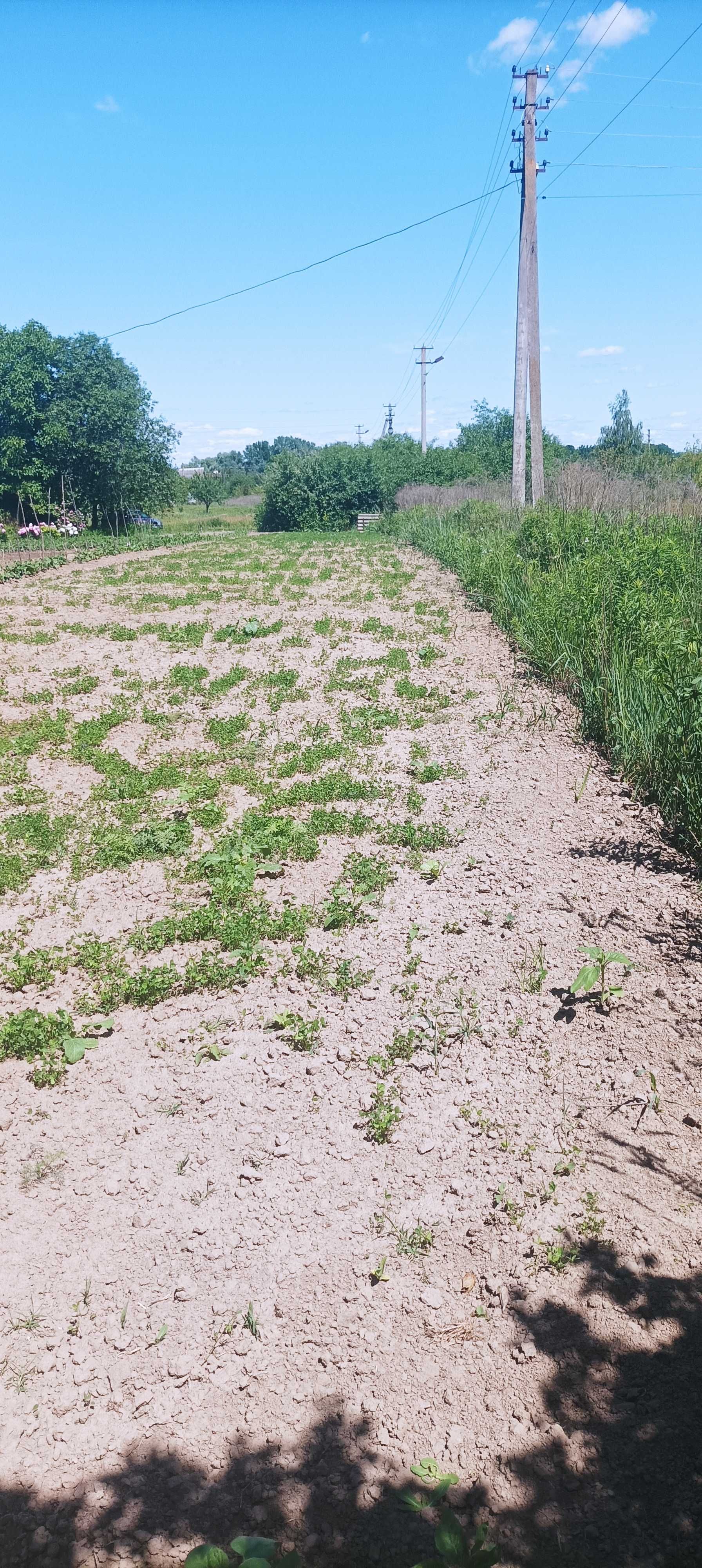 Ділянка під забудову 15 сот