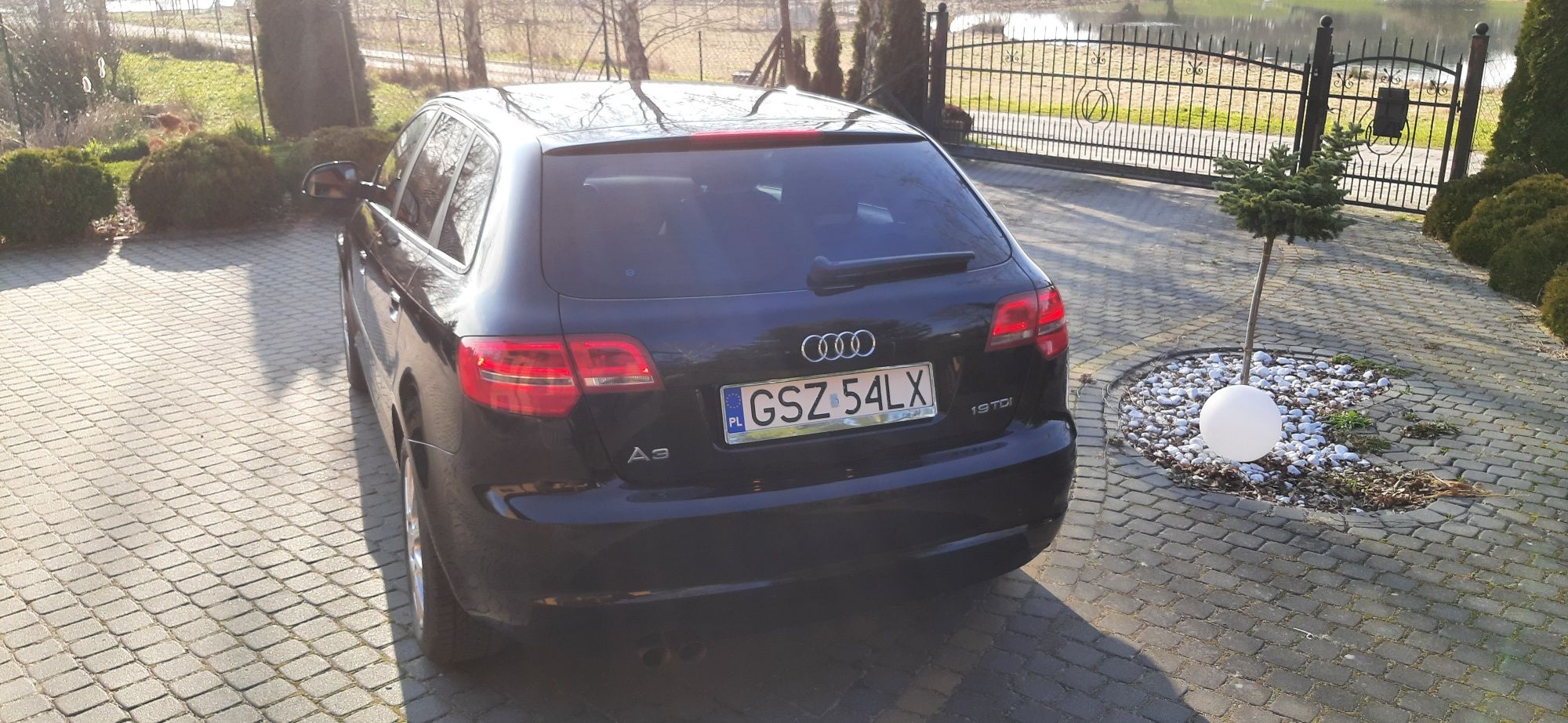Audi A3 8P 1,9 TDi 105 KM