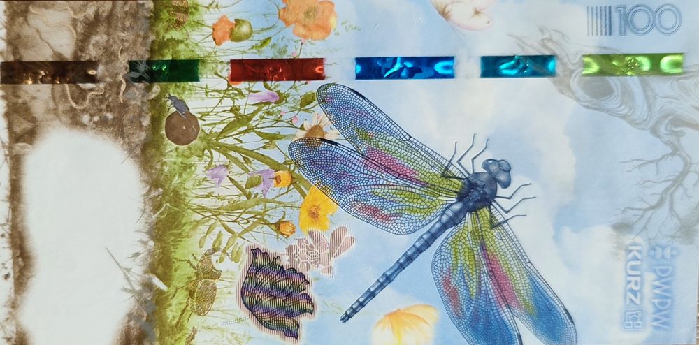 Walor testowy PWPW KURC - Łąka 100