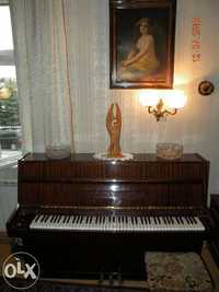 Pianino Calisia M-105 1 z metalową płytą