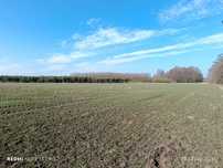 Działka na sprzedaż 0,50 ha - Piaseczno, gm. Wielgie