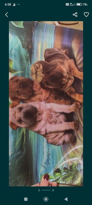 3д картинки,8 штук