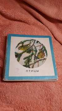 Раскладушка птицы для дошкольного возраста 1972 СССР ретро стиль