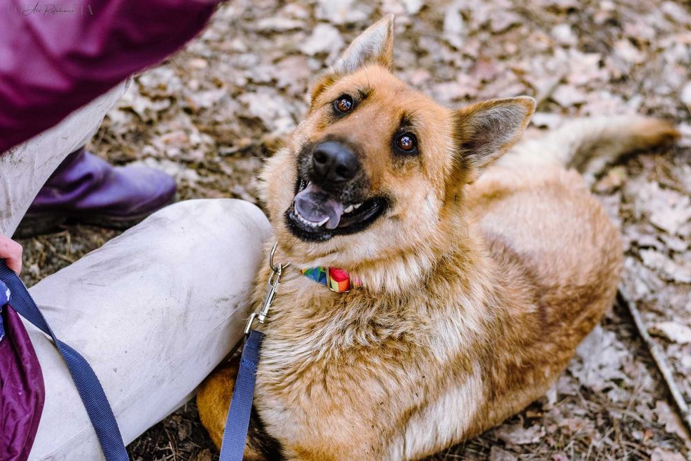 nikt nie docenia dolores, może ty pokażesz jej przyjazną dłoń?