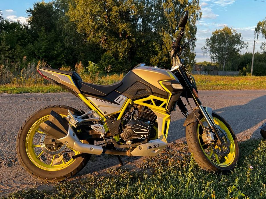 Shineray nitrox 300
