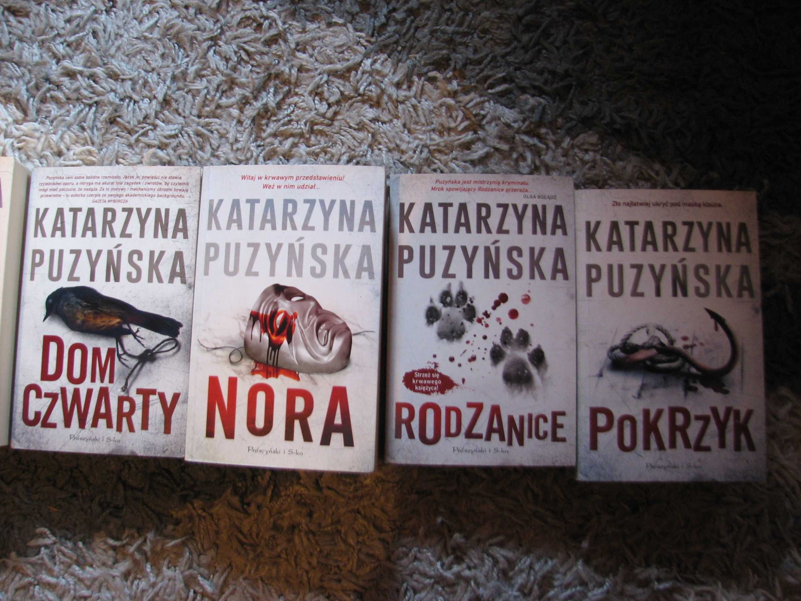 Katarzyna Puzyńska saga "Lipowo"