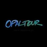 Poszukiwany Pilot Wycieczek Kraj/ Zagranica OPAL TOUR