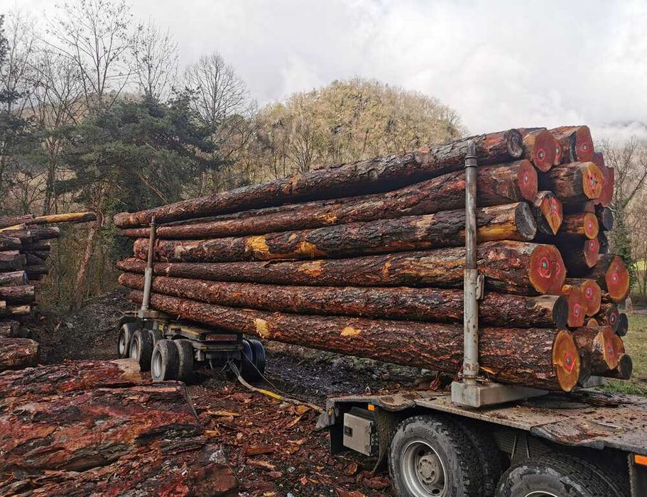 lenha em toras e cortada