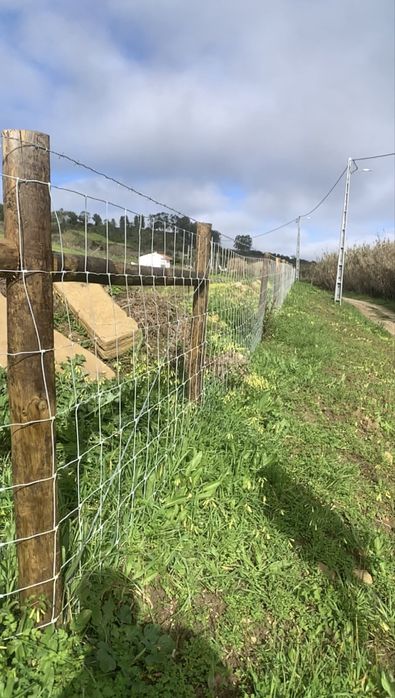 Vedacoes Cercas Gradeamentos