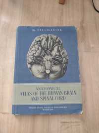 Anatomical atlas of the human brain and spinał cord. 1956