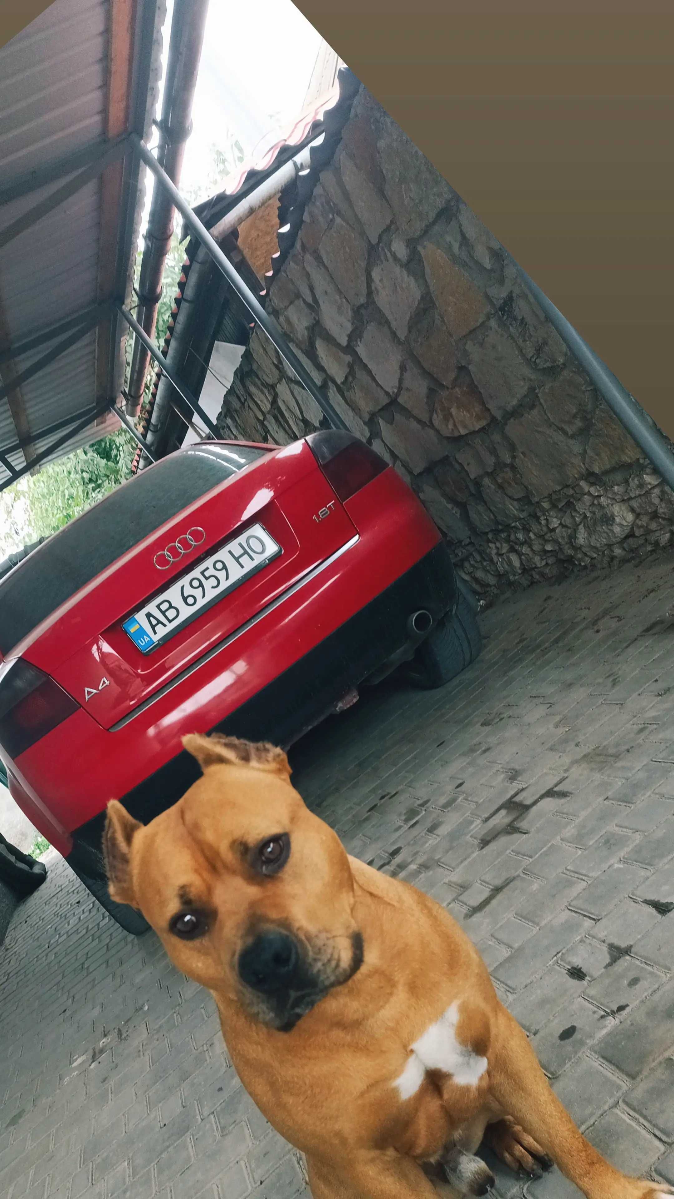 Авто з пробігом ауді