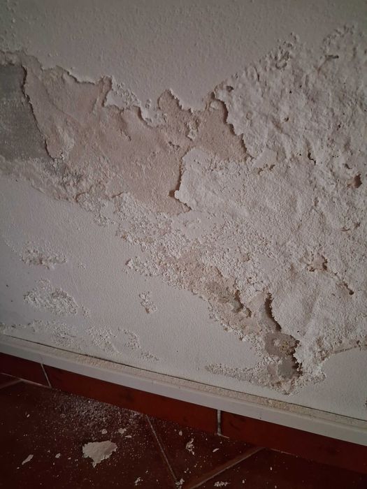 Pinturas fernandes