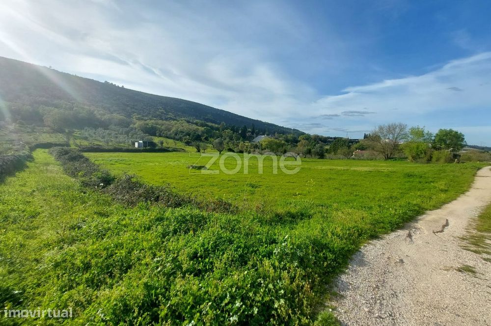 Terreno para construção a 2 minutos de Porto de Mós