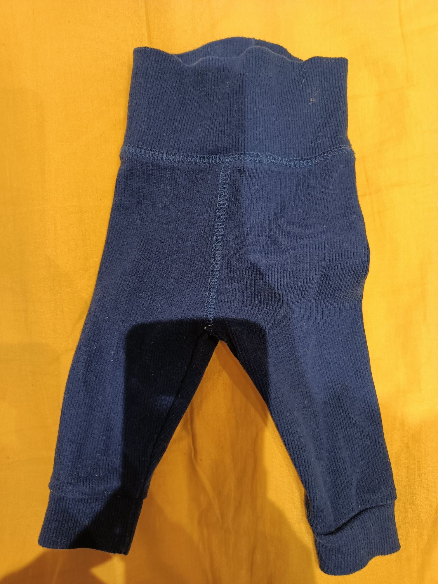 Legginsy/spodenki Ergee
